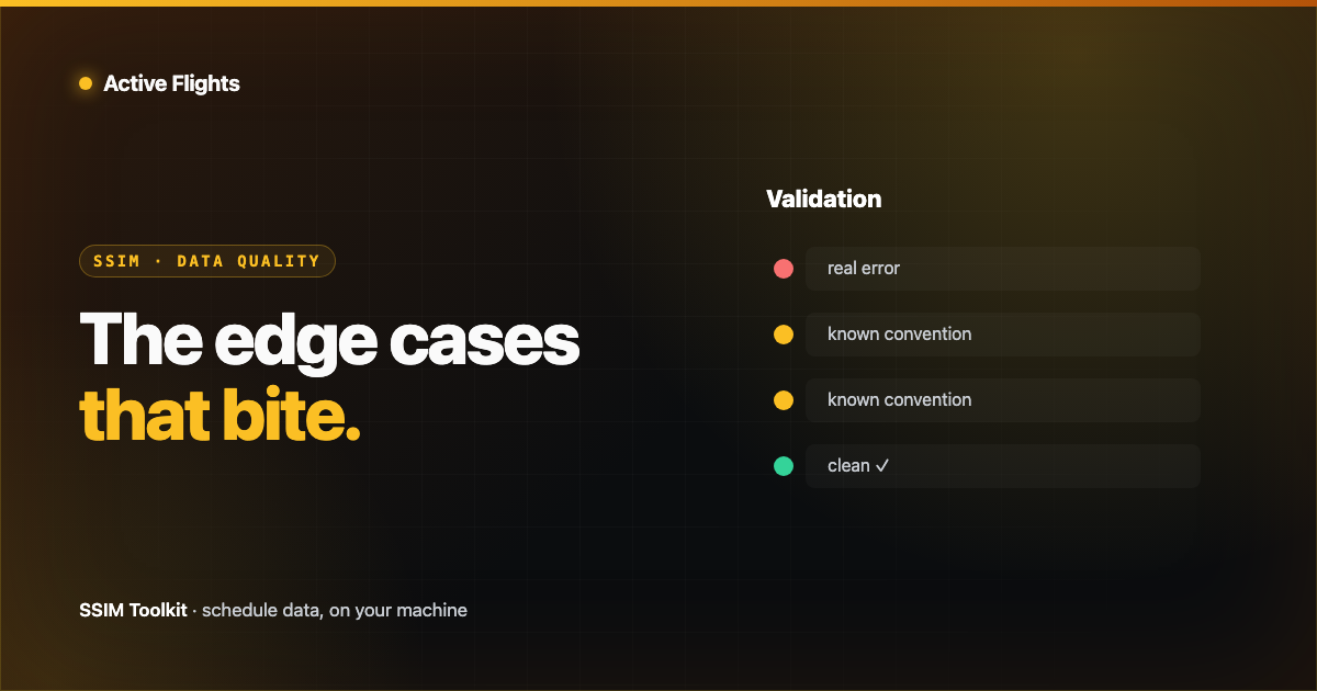 A validation panel listing schedule issues, some flagged as real errors and some acknowledged as known conventions, in Active Flights brand amber on near-black.